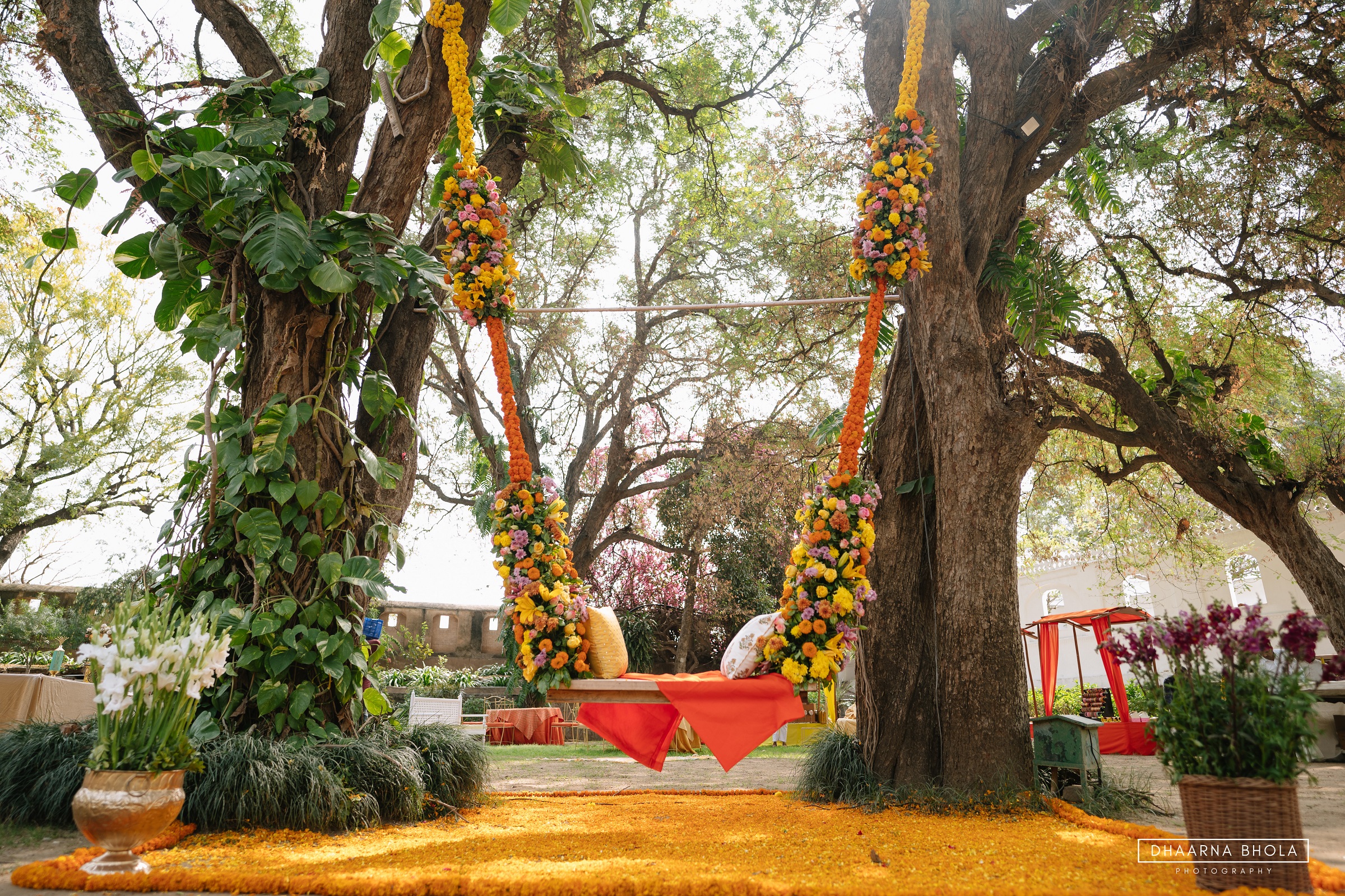 Image from Haldi